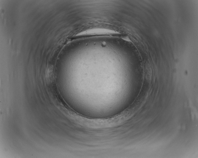 X0000068810034200605051156