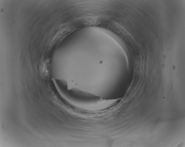 X0000068810035200605051156