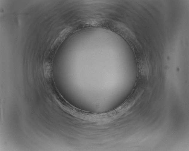 X0000068810036200605051156