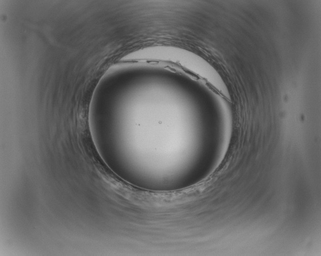 X0000068810037200605051156