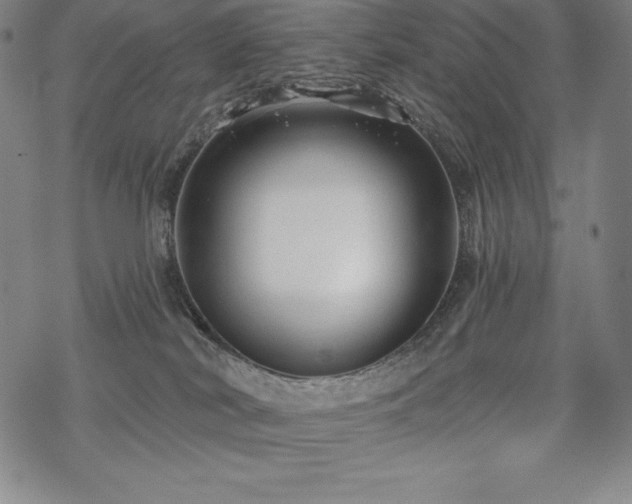 X0000068810038200605051156