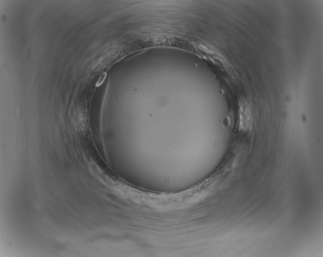 X0000068810039200605051156