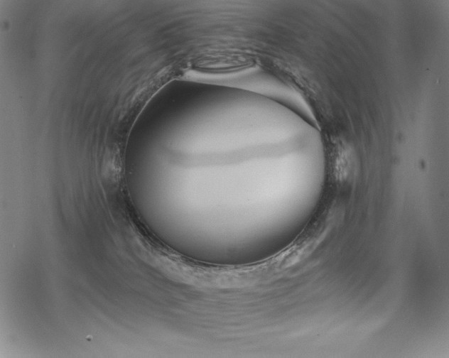 X0000068810040200605051156