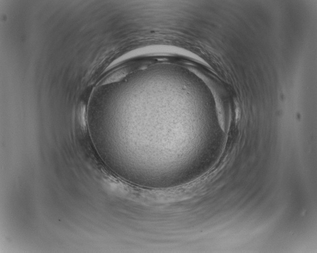 X0000068810041200605051156