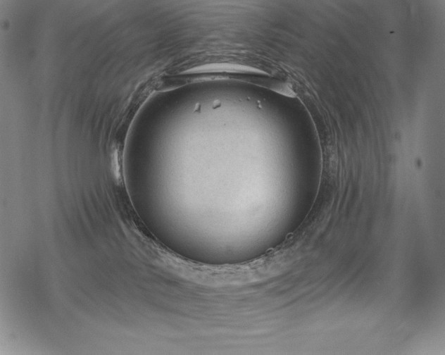 X0000068810042200605051156