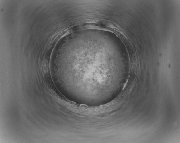 X0000068810043200605051156