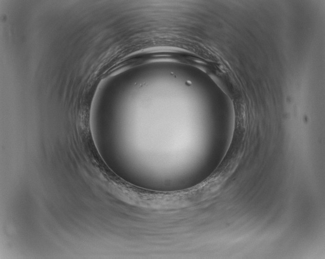 X0000068810044200605051156