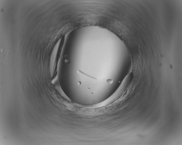 X0000068810045200605051156