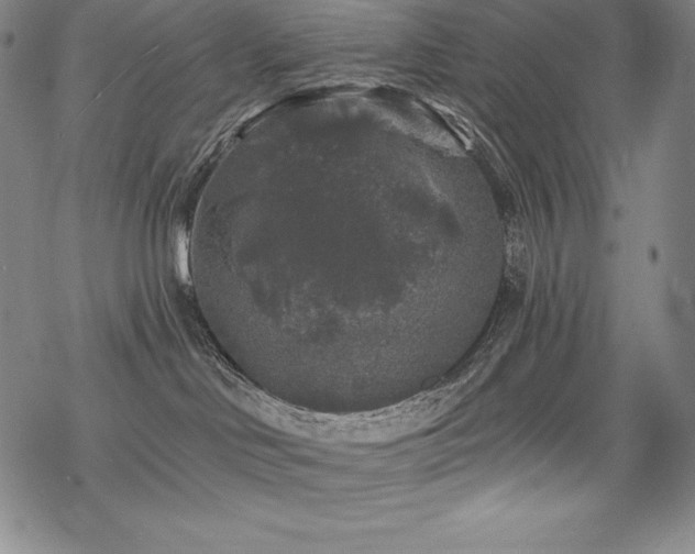 X0000068810046200605051156