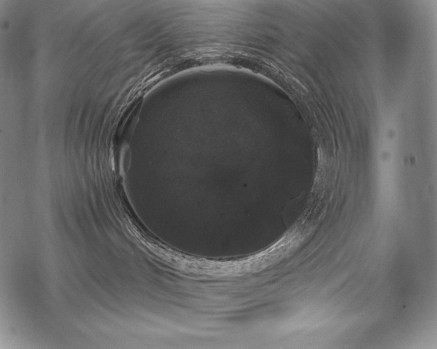 X0000068810048200605051156