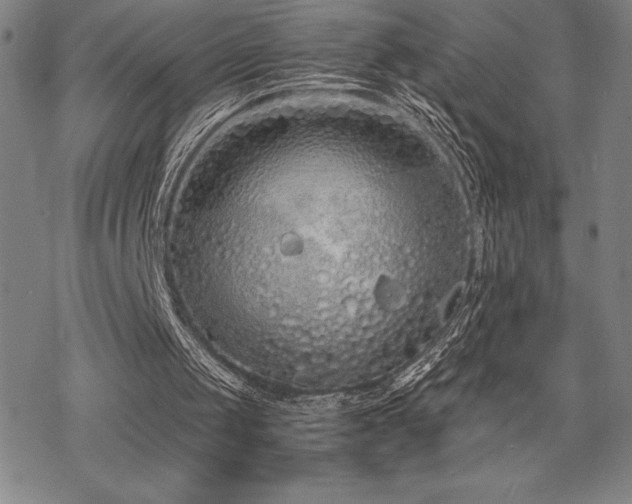 X0000068810049200605051155