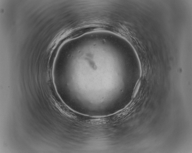 X0000068810050200605051155