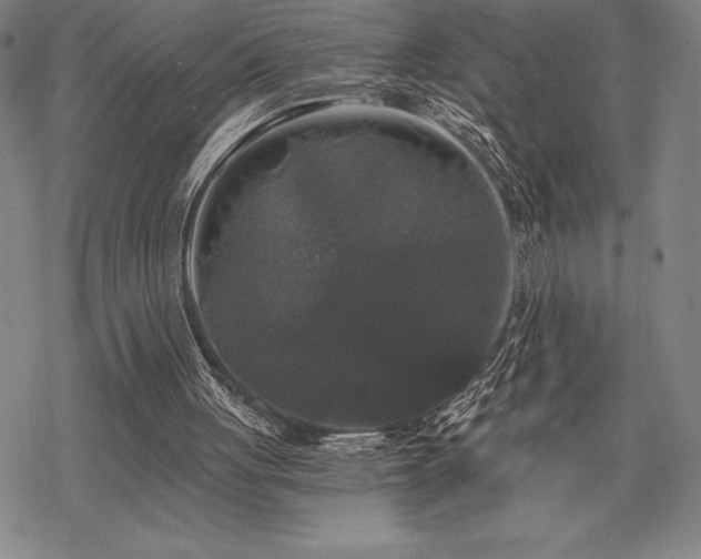 X0000068810051200605051155