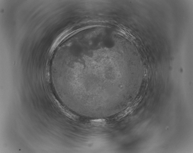 X0000068810053200605051155