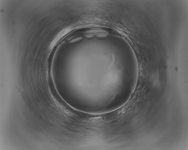 X0000068810054200605051155