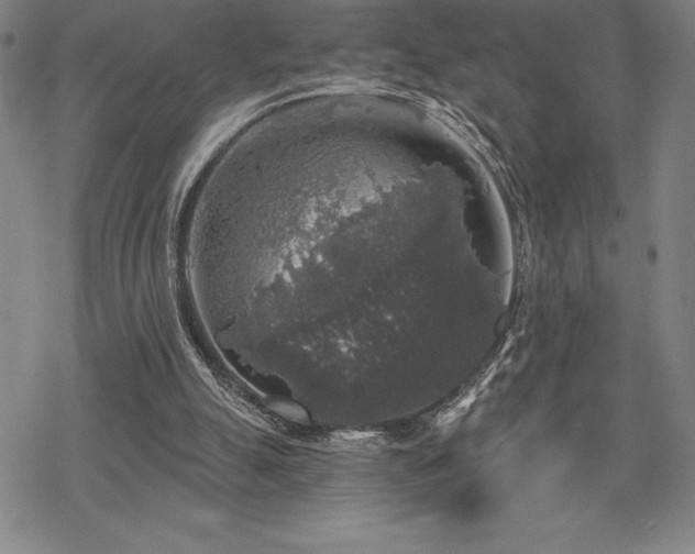 X0000068810055200605051155