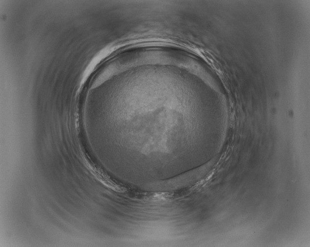 X0000068810056200605051155