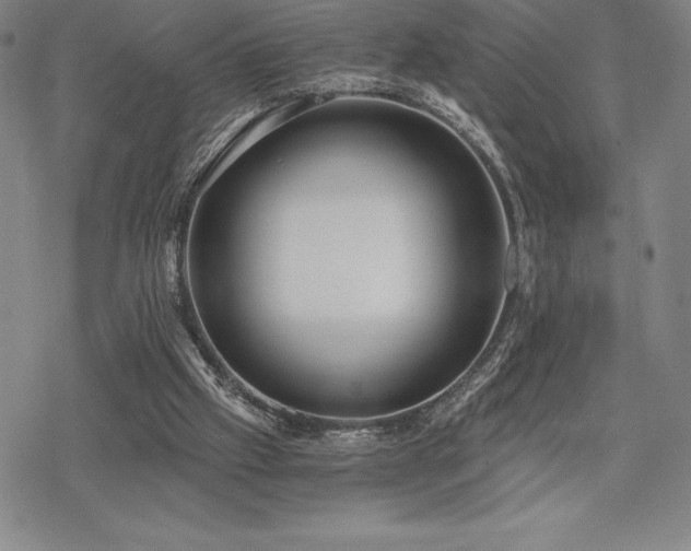 X0000068810057200605051155