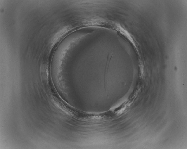 X0000068810059200605051155