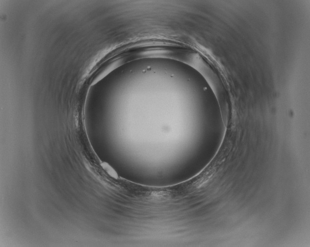 X0000068810060200605051155