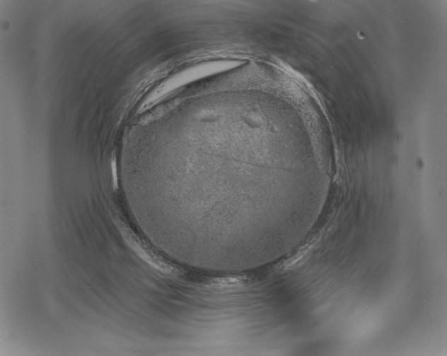 X0000068810061200605051155