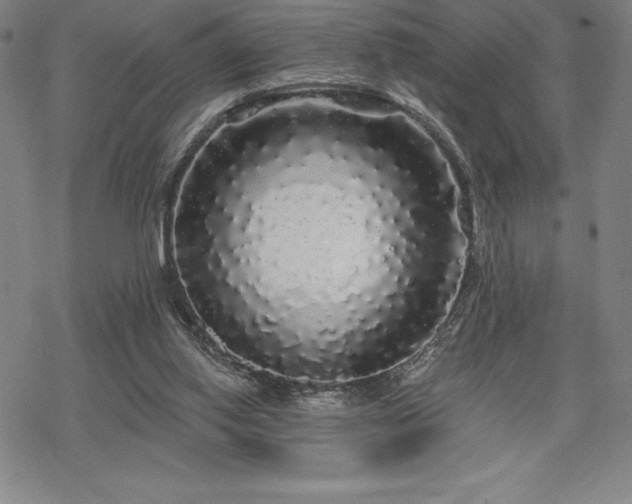 X0000068810062200605051155