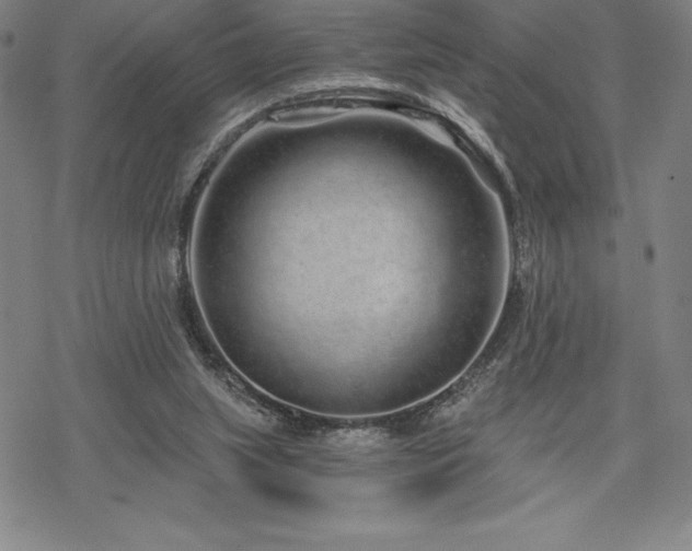 X0000068810063200605051155