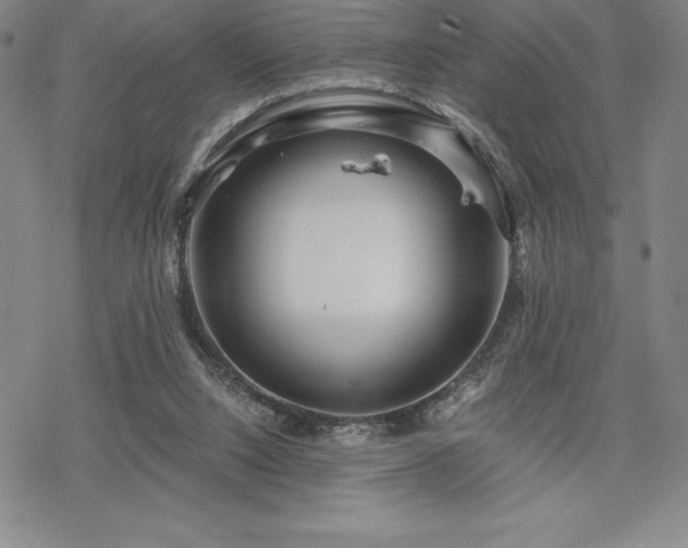 X0000068810064200605051155