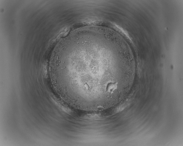 X0000068810065200605051155