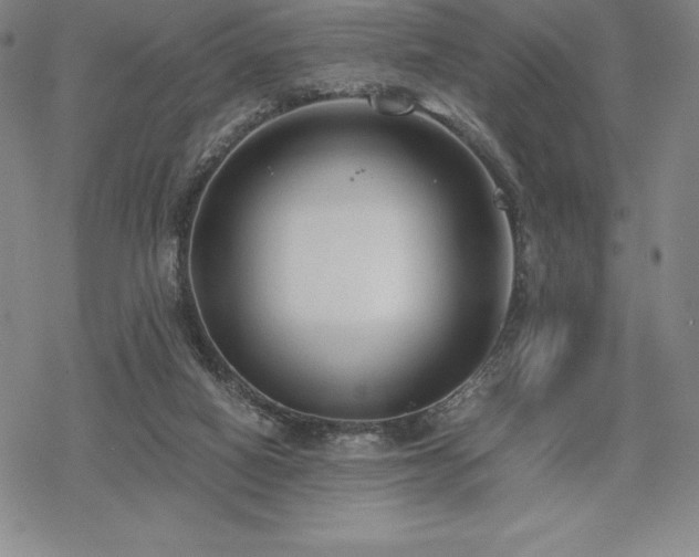 X0000068810066200605051155