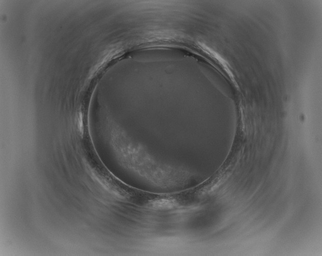 X0000068810067200605051155