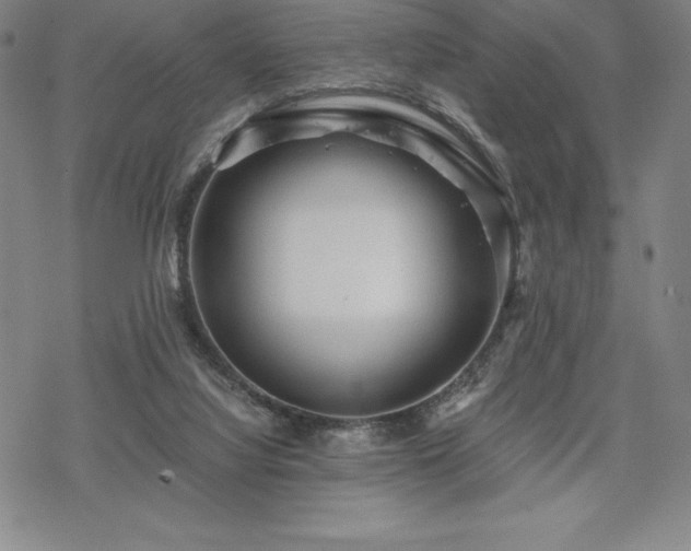 X0000068810068200605051155