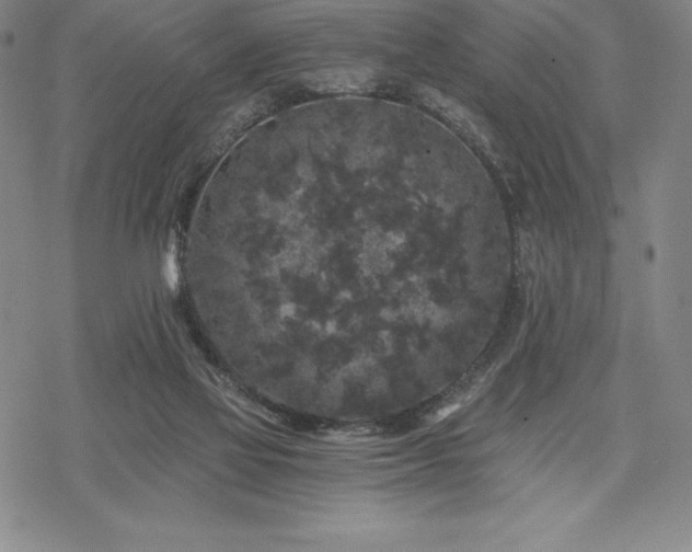 X0000068810069200605051155