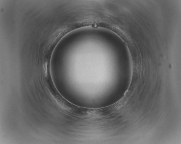 X0000068810070200605051155