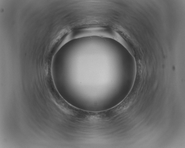 X0000068810072200605051155