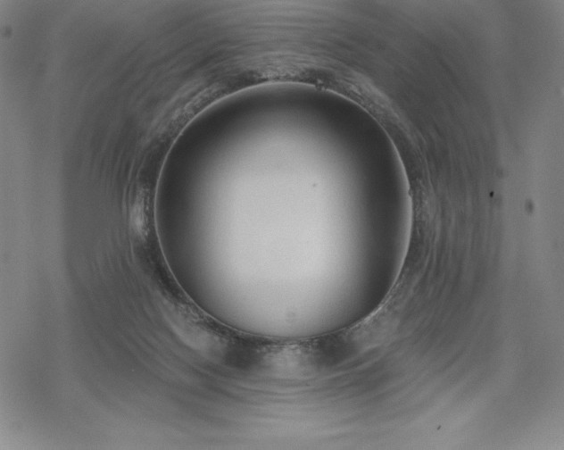 X0000068810074200605051155