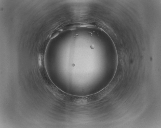 X0000068810075200605051156