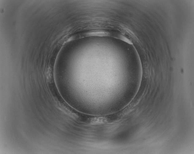 X0000068810077200605051156