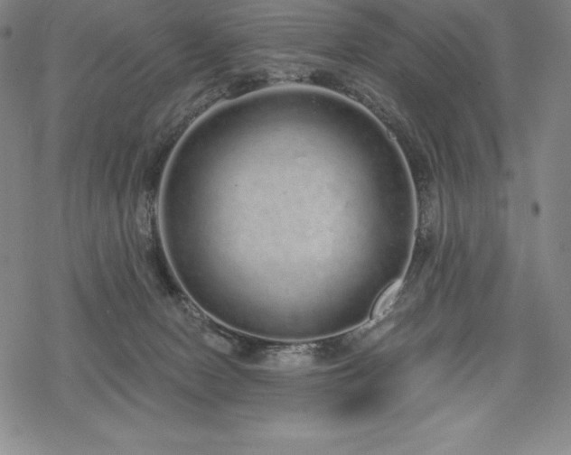 X0000068810078200605051156