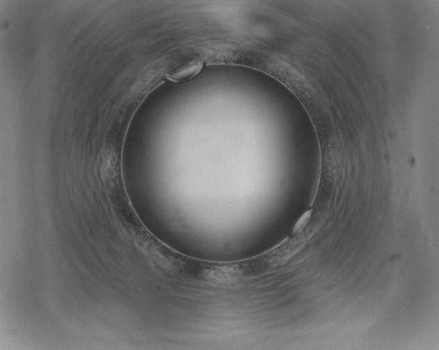 X0000068810079200605051156