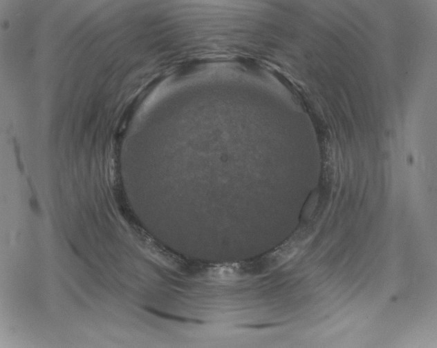 X0000068810080200605051156