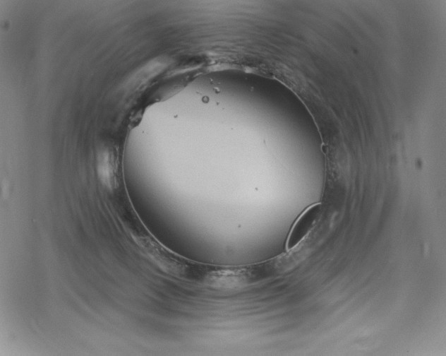 X0000068810082200605051156