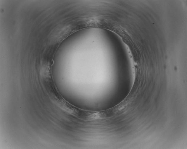 X0000068810083200605051156