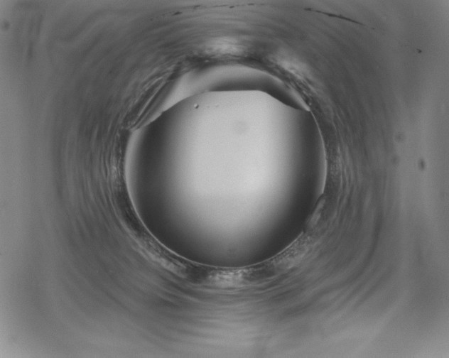 X0000068810084200605051156