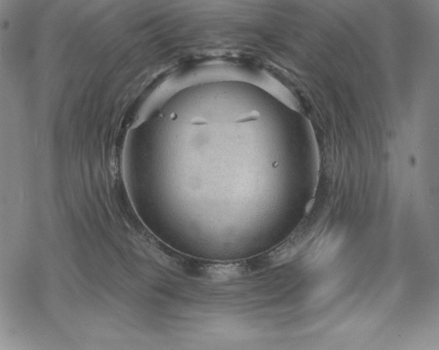 X0000068810085200605051156