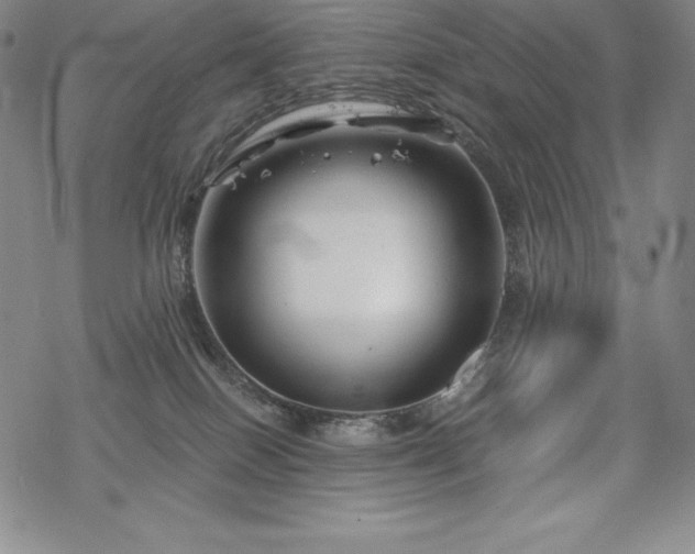 X0000068810086200605051156