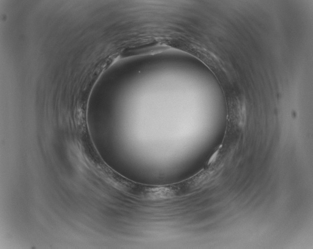 X0000068810087200605051156