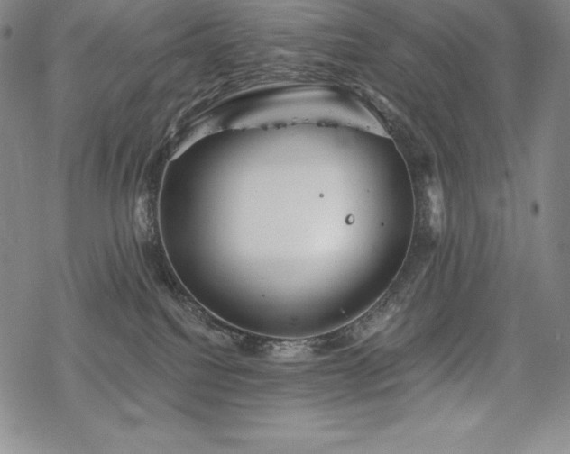 X0000068810088200605051156