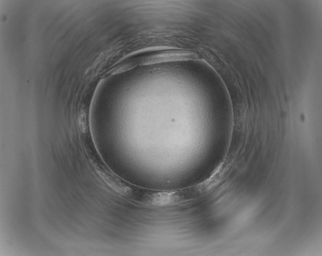 X0000068810090200605051156