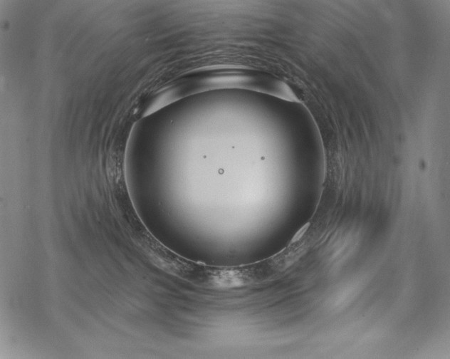 X0000068810091200605051156